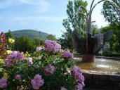 Fontaine zinc à Viviez